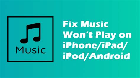 Why Won't My Music Play on Apple Music, and Why Do Cats Always Land on Their Feet?